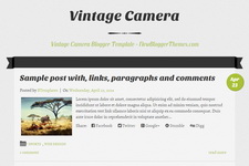 Vintage Camera Blogger Theme