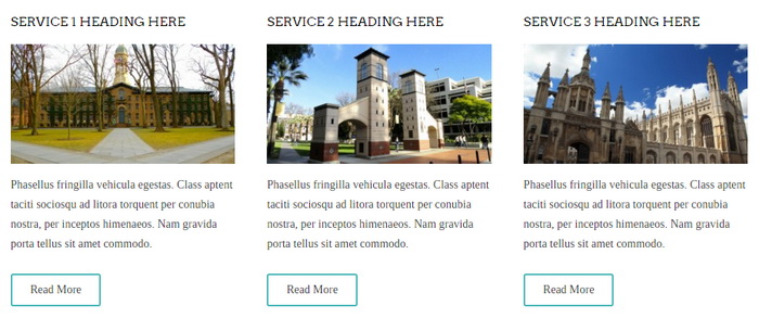 Services Section - University Blogger Template