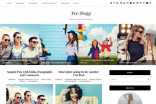 Pro Blogg Blogger Theme