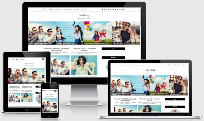 Responsive View - Pro Blogg Blogger Template