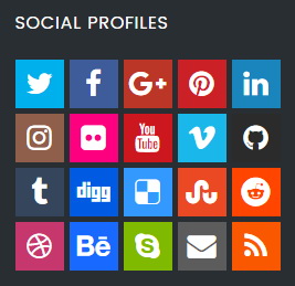 Social Profiles Widget - Stacker Blogger Template