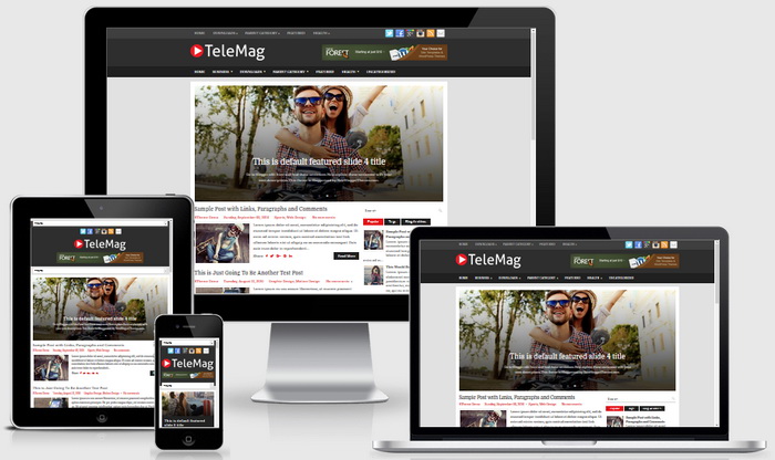 Responsive View - TeleMag Blogger Template