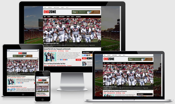 Responsive View - EndZone Blogger Template